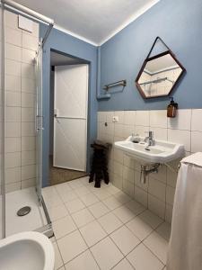 een badkamer met een wastafel, een toilet en een spiegel bij Mini loft in Reggio Emilia