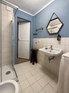 Bilik mandi di Mini loft +9 gambar
