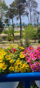 a bunch of colorful flowers in a park at Perla Apartment 3 in Golem