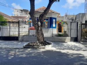 a tree in front of a fence at Oxen Hostel 2024 in Recife