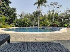a swimming pool in the middle of a park at Quinta Zana Hotel Boutique in Cuernavaca