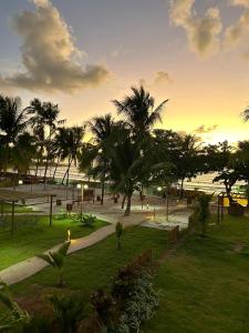 un parc avec des palmiers et l'océan au coucher du soleil dans l'établissement Casa Marceneiro Milagres, à São Miguel dos Milagres