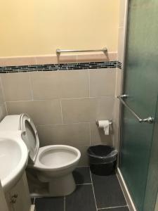 a bathroom with a toilet and a sink and a shower at Alykas Properties in Brooklyn