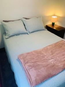 a bed with a pink blanket on top of it at 2BR Erie Flat Remote Work Family-Friendly in Erie