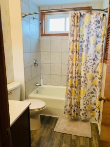 a bathroom with a toilet and a shower curtain at 2BR Erie Flat Near Gannon & Mercyhurst in Erie