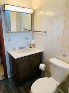 a bathroom with a toilet and a sink and a mirror at 2BR Erie Flat Near Gannon & Mercyhurst in Erie