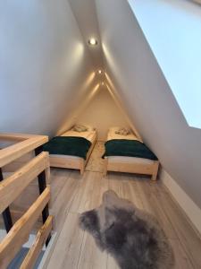 a cat laying on the floor in a room with two beds at Manio Pokoje in Bańska Wyżna