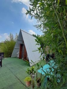 卡利的住宿－Glamping Bambulina，金属屋顶的大型金属建筑