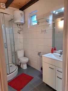 a bathroom with a toilet and a shower and a sink at Domki Kapitańskie Lubiatowo in Lubiatowo