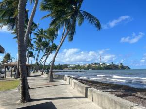 a sidewalk next to the ocean with palm trees at La maison de Vénus - Petite maison créole à 3 min du front de mer - proche de la plage de la Pointe Faula - kitesurf et activités nautiques in Le Vauclin