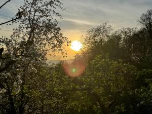 a sunset behind trees with the sun in the background at Pettinger Stöckl in Heimschuh