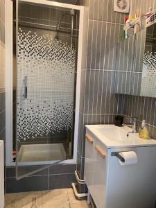 a bathroom with a shower and a sink at Vue BAIE XXL 180° in Le Crotoy