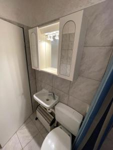 W łazience znajduje się toaleta, umywalka i lustro. w obiekcie willana w mieście Schönebeck