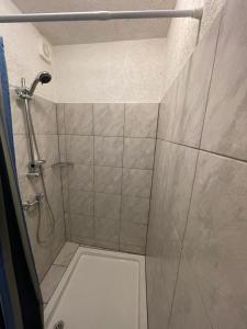 een badkamer met een douche, een toilet en een wastafel bij willana in Schönebeck