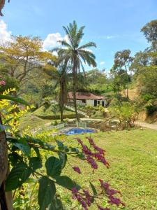 um jardim com uma piscina e uma palmeira em Hotel Asturias Campestre em San Gil
