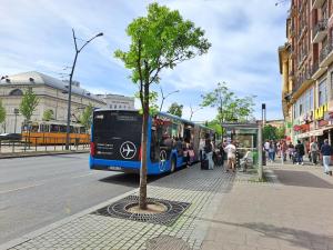 een bus geparkeerd bij een bushalte naast een boom bij Superior Budapest Centrum Basilica in Boedapest