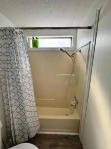 a bathroom with a shower curtain and a tub at Herbster Hideaway in Parker