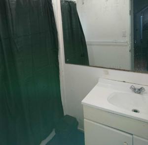 baño con cortina de ducha verde y lavamanos en Bush , birds and relaxing moments en Auckland