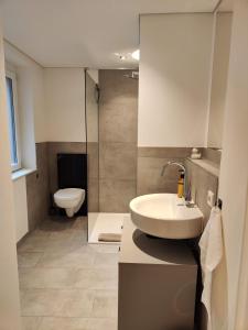 een badkamer met een wastafel en een toilet bij Suite Kaiser: Charming City Apartment in Waldshut-Tiengen