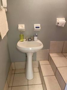 uma casa de banho com um lavatório branco num quarto em The Legato Suite em Brooklyn