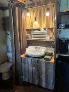 a bathroom with a sink and a toilet at Acorn Hideaways Canton Escape to Neverland Suite for 3 in Canton