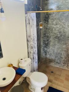 La salle de bains est pourvue de toilettes, d'un lavabo et d'une douche. dans l'établissement Rustica House frente al lago - Ayampe, à Ayampe
