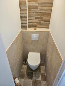 a small bathroom with a toilet in a room at Maison a la campagne in Châteauvieux +10 photos