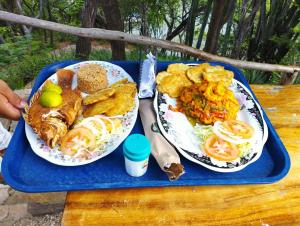 Mirador Playa Cristal Tayrona في سانتا مارتا: طبقين من الطعام على صينية زرقاء على طاولة