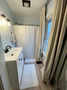 baño con lavabo y cortina de ducha en Charming & Newly Renovated 2BR in St Albans, en Saint Albans