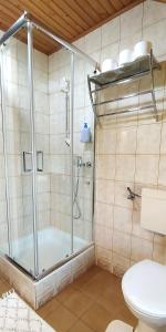 La salle de bains est pourvue d'une douche et de toilettes. dans l'établissement Apartment Jezerka, à Cerknica