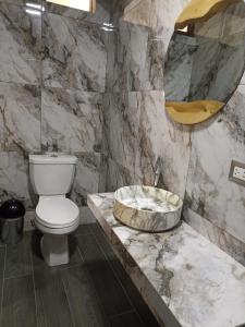 uma casa de banho com um WC, um lavatório e um espelho. em HOSPEDAJE VALLE VERDE em Oxapampa