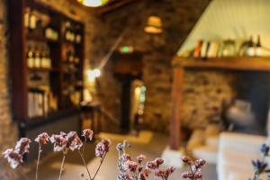 Biblioteka in country house