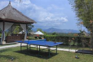 Facilități de tenis de masă la sau în apropiere de Villa The Jiwa