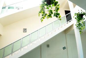 una escalera en un edificio con plantas verdes en HOTEL KRISTAL, en Asunción Nochixtlán