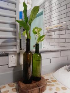 two bottles with plants in them sitting on a table at HOTEL WAYAK in Palenque