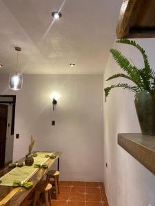 une salle à manger avec une table et une plante en pot dans l'établissement Casa Don Agapito, à San Pedro de la Laguna