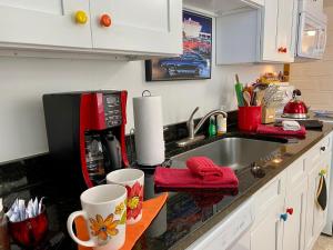 a kitchen counter with a sink and a microwave at Funky Downtown Pad Pets OK Near Intercoastal in Saint Augustine