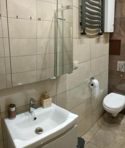 a bathroom with a sink and a toilet at Apartament Gdańsk Starówka in Gdańsk