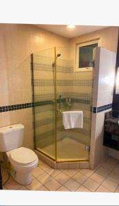 y baño con ducha y aseo. en Cool And Cozy Home By Seri Bukit Ceylon Residency en Kuala Lumpur