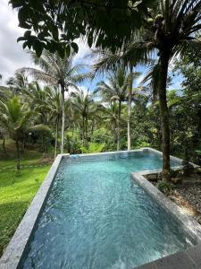 a swimming pool in a yard with palm trees at Elnora's Farm in Lucban