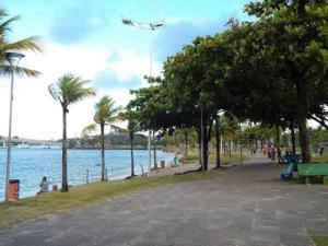a kite flying over a beach with palm trees at Apartamento Orla Praia do Canto in Vitória
