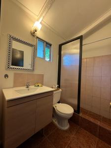 a bathroom with a toilet and a sink and a mirror at Hostal Raioha in Hanga Roa