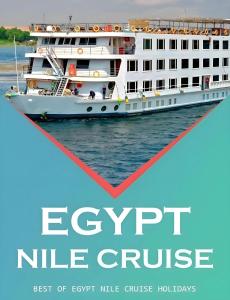 アスワンにあるEGYPT NILE CRUISE BSH Every Saturday from Luxor 4 nights & every Wednesday from Aswan 3 nightsの水上の大型白色客船