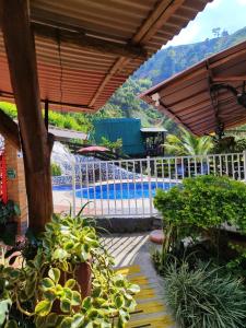 a patio with a pool and some plants at Alojamiento Rural Altos del Molino in Los Andes