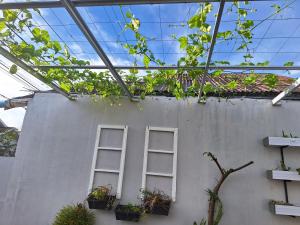 two windows on the side of a building with plants at Umah Bapak in Takengon