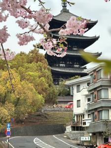 um pagode à distância com árvores de rosa em frente a um edifício em Ryokan Kosen Kazeya Group em Nara