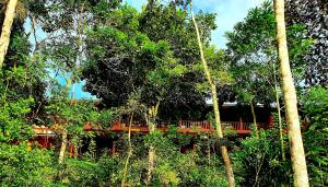 un puente en medio de un bosque con árboles en Hotel La Hacienda, en Quesada