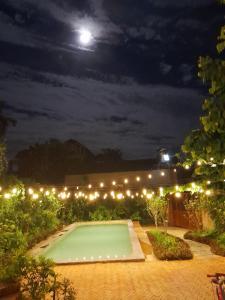 a garden with a swimming pool at night at 1989 Villa 