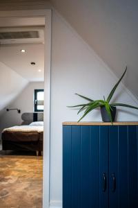 a plant on top of a blue cabinet in a bedroom at GooseHaus z prywatną sauną i jacuzzi in Gąski