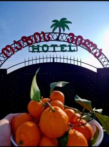 TsqaltuboHotel Oasis Villa的相册照片